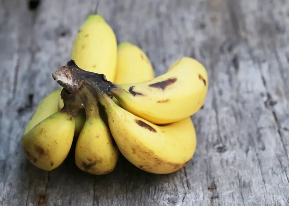 Récord: en Argentina se venden las bananas más caras del mundo 