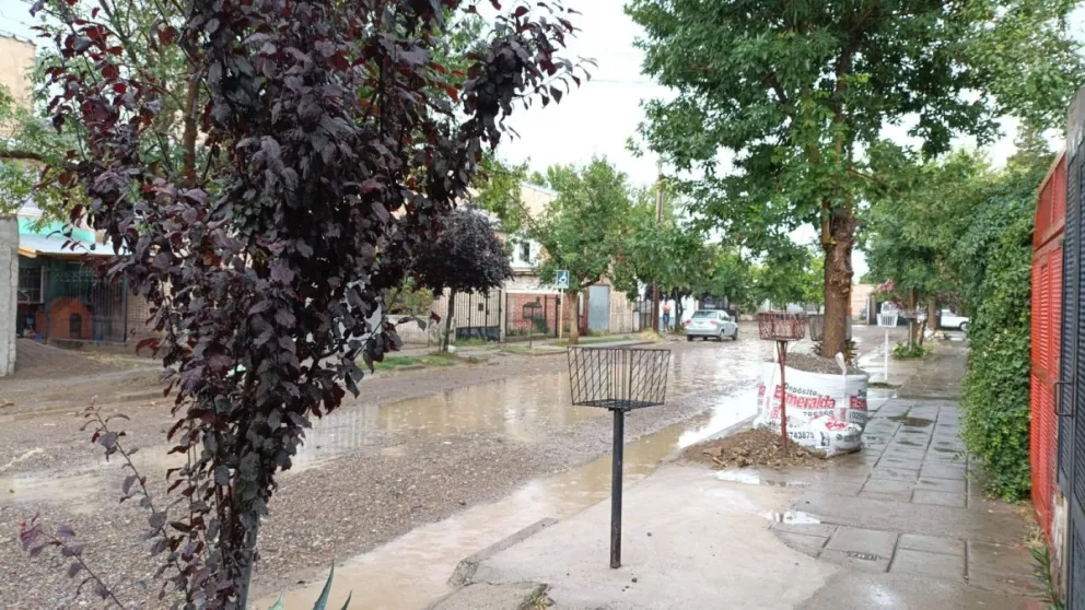 Barrios como Las 1200 y calles como Mengelle terminaron bajo el agua. (Foto: PH).