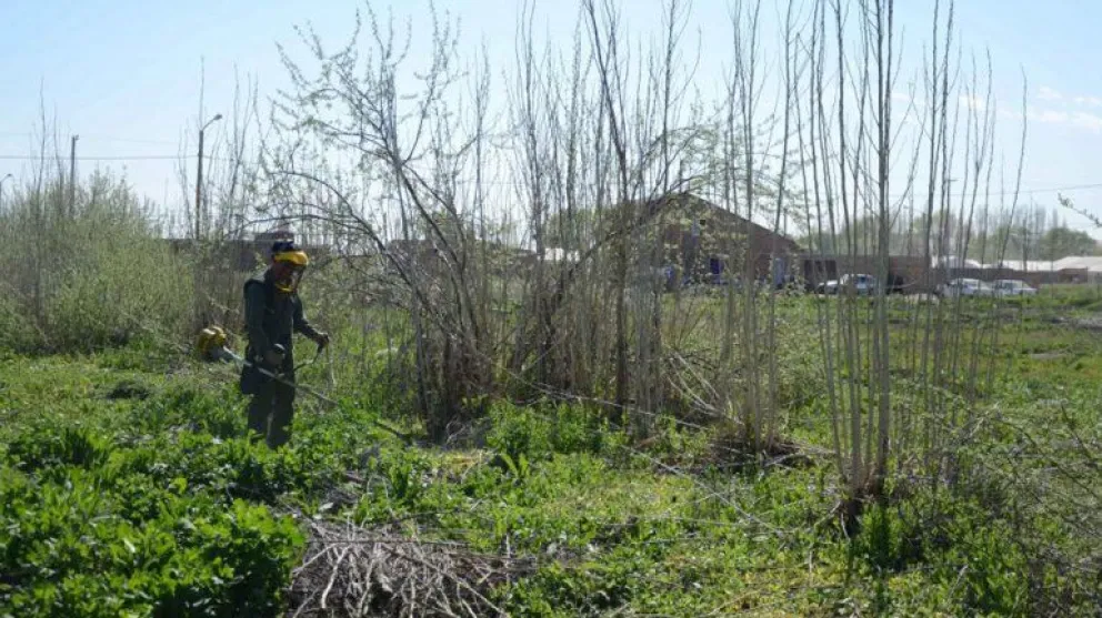 La municipalidad recordó que es obligación de los propietarios mantener la limpieza de los terrenos baldíos. Foto: archivo.
