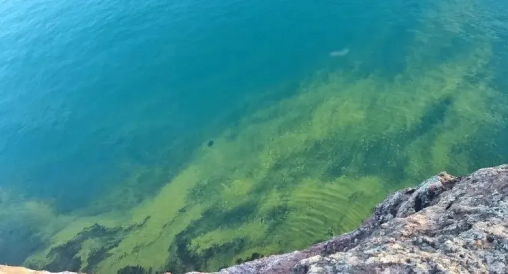 Desde Salud explicaron que la presencia de las cianobacterias se vincula a las altas temperaturas que trae la ola de calor que viven Neuquén y Río Negro. | Foto (archivo Cipo360)
