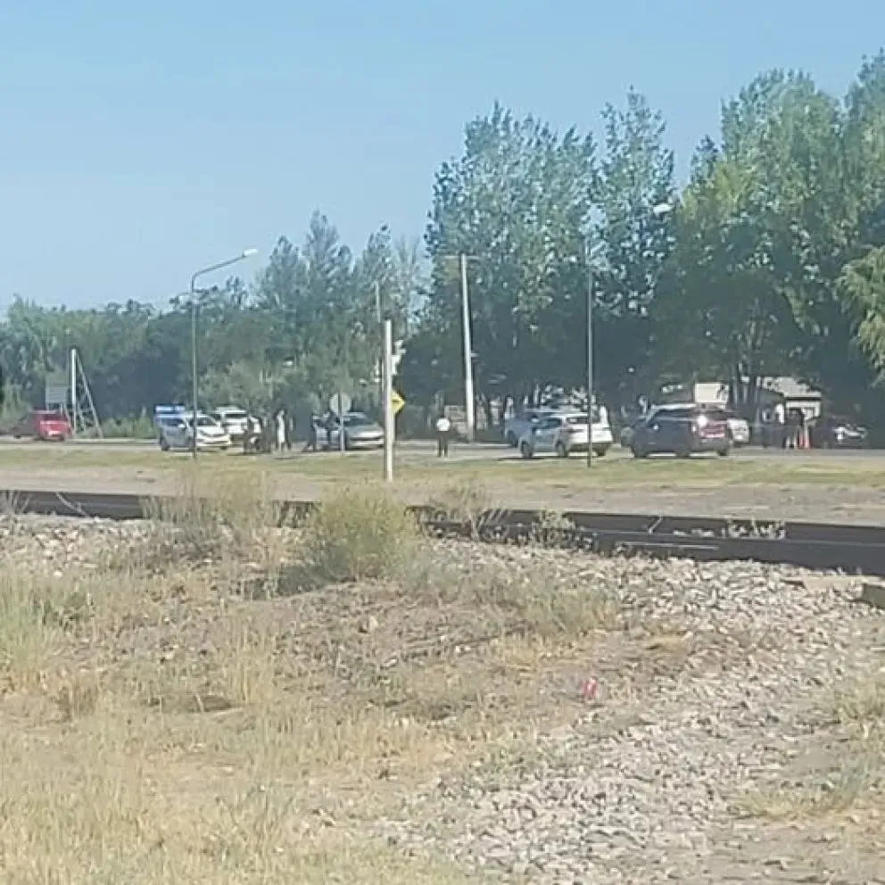 Todos los detenidos tienen domicilio en Cipolletti (Imagen gentileza) 