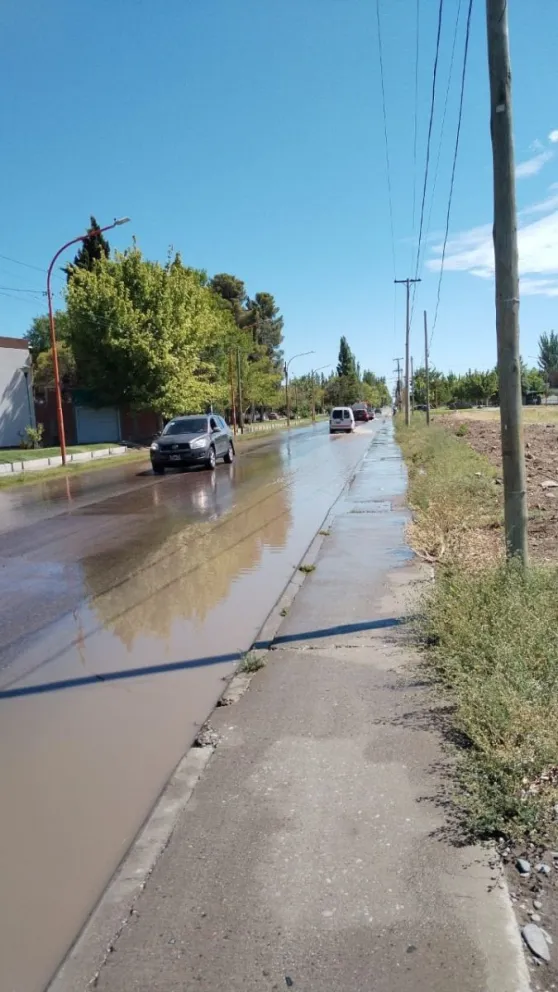 Trabajadores municipales estuvieron en la zona hoy temprano. (Foto Cipo360)