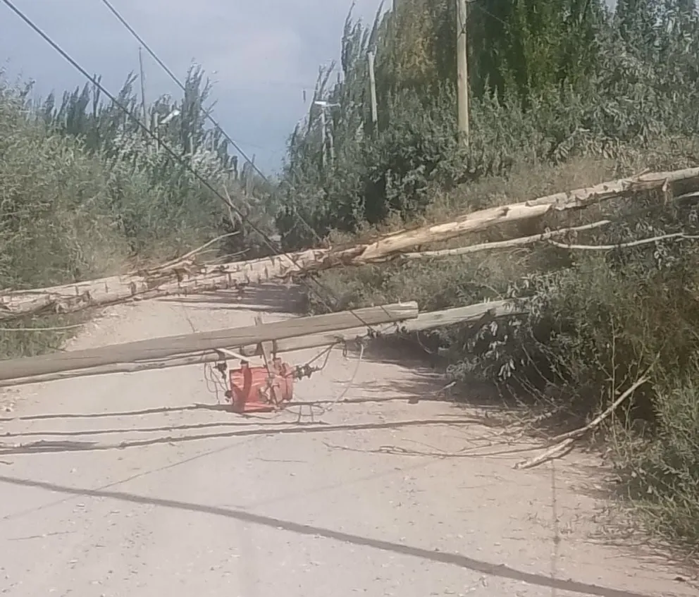 No se reportaron heridos aunque Protección Civil debió asistir las urgencias de los vecinos.