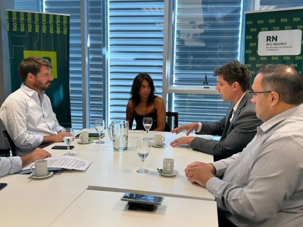 Las tareas fueron supervisadas por el Ente Regulador de la Provincia (EPRE) (Imagen gentileza)