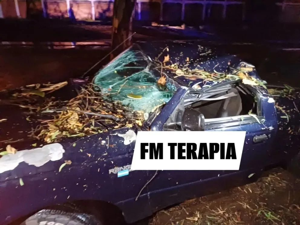 La camioneta del Policía quedó destrozada por la caída del árbol. Foto (Radio Terapia).