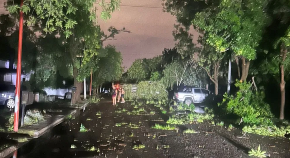 Se registraron vientos de hasta 105 km/h y más de 28.5 mm de agua caída. Foto: gentileza.
