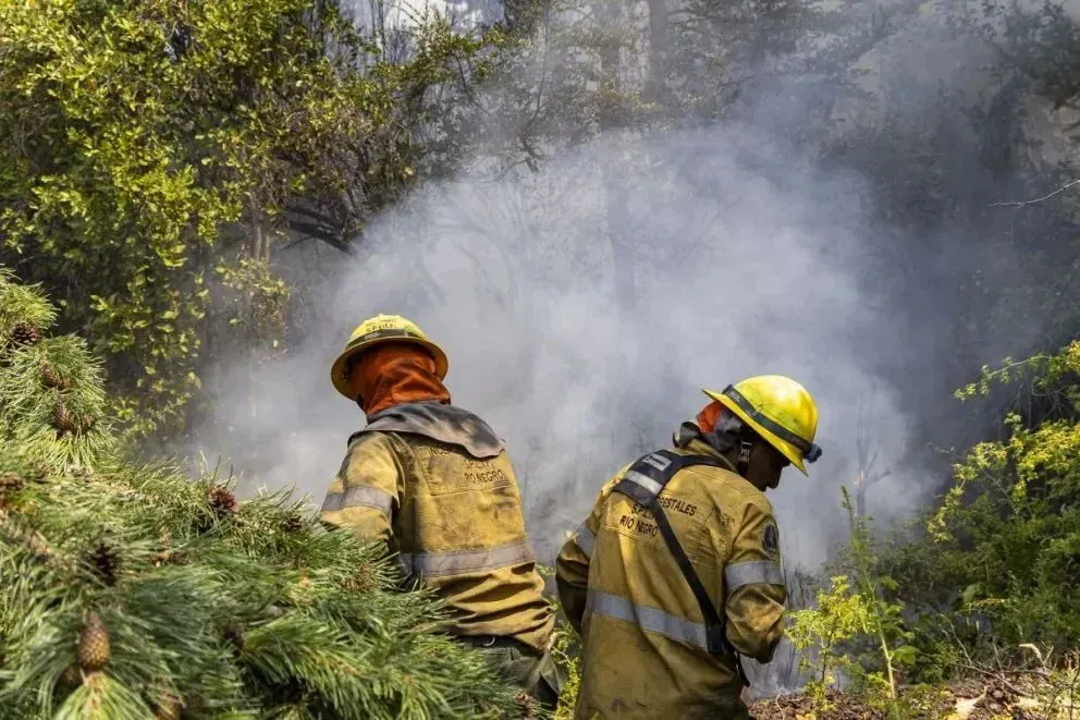 Un fallo que busca dar con los responsables de los incendios en la zona (Foto: Euge Neme).
