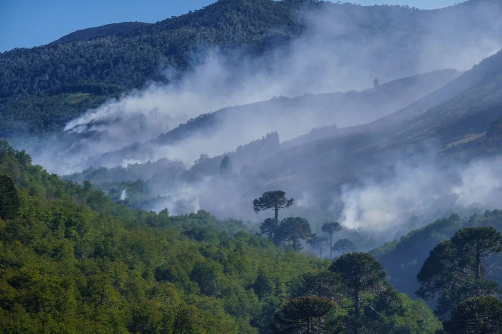 El incendio en el Parque Nacional Lanin ya lleva 15.200 hectáreas afectadas. | Foto (gentileza)