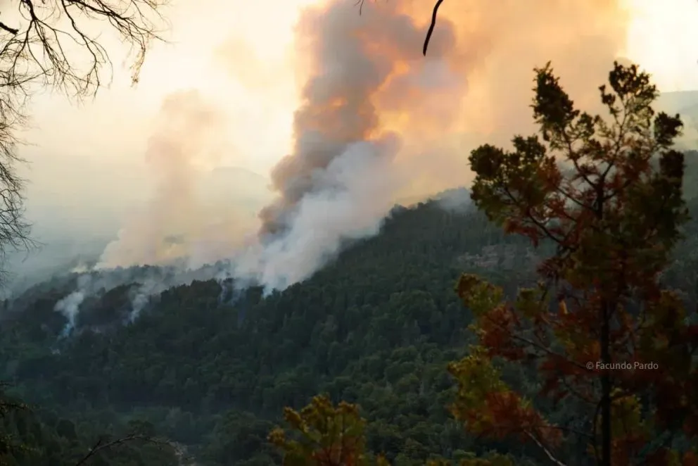 Weretilneck brindó detalles del daño del paso del fuego junto al intendente de El Bolsón, Bruno Pogliano