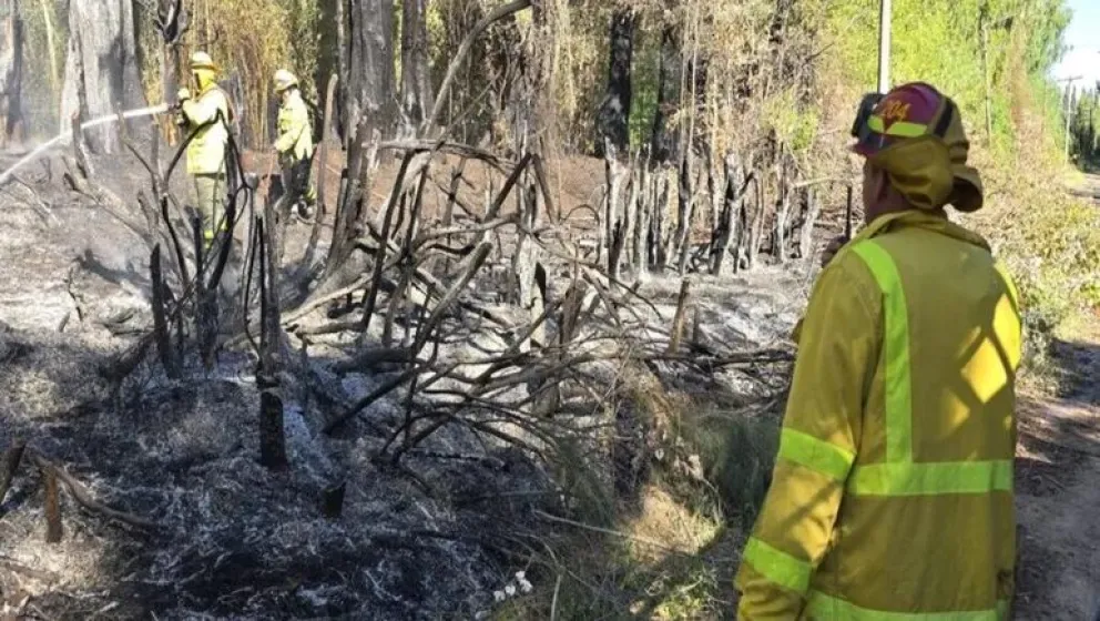 Las llamas destruyeron una chacra de seis hectáreas. Cuatro dotaciones de bomberos tuvieron que trabajar ocho horas para apagarlo. Foto: archivo.