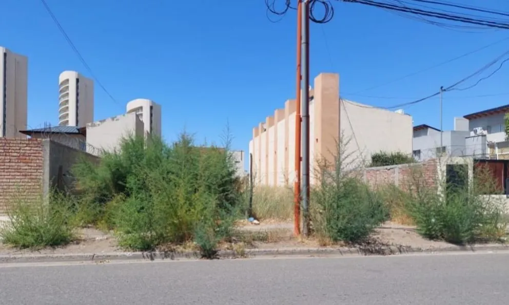 El terreno baldío que se ubica en calle Lugones fue desmalezado por la municipalidad y se hicieron las infracciones correspondientes. | Foto (Prensa Municipalidad Cipolletti)