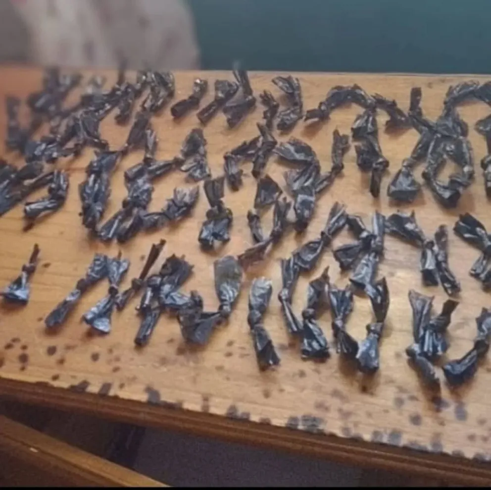 289 envoltorios de cocaína fueron secuestrados. (Foto Policía de Neuquén)