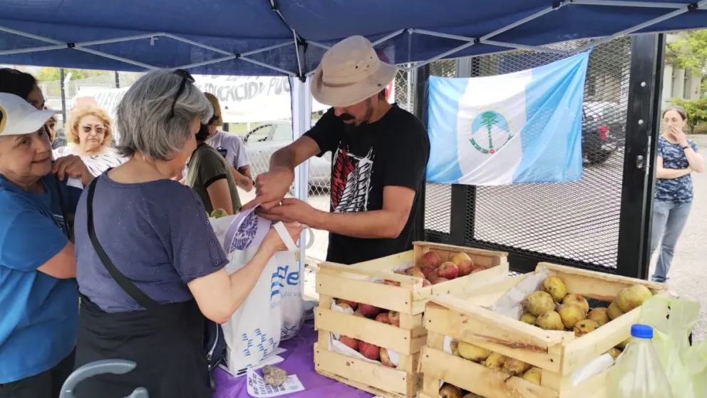 En la feria se podrán adquirir las clásicas peras y manzanas de la chacra a mil pesos el kilo, además de pelones, duraznos, ciruelas y uva. | Foto (archivo)