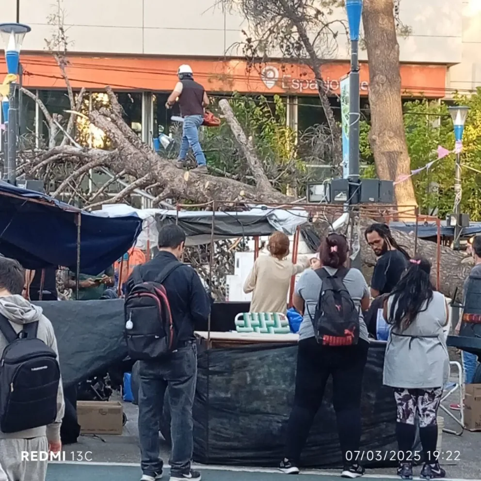 Las ráfagas fuertes sorprendieron a los feriantes, lamentablemente un árbol cayó y lastimó a un hombre. | Foto (gentileza)