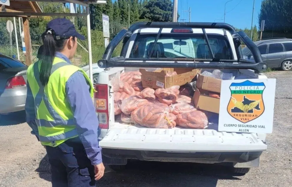 Los efectivos procedieron a decomisar la carga y a labrar la multa correspondiente. (Foto Policía de Río Negro)