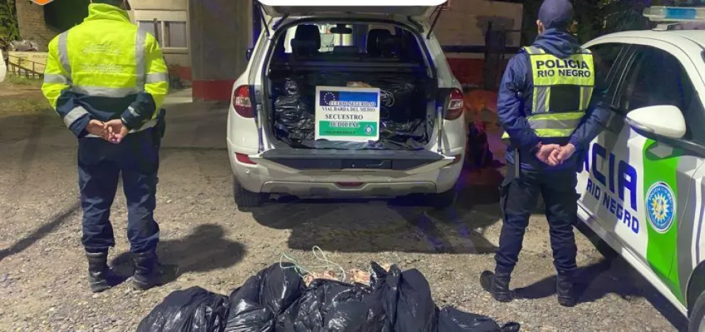 El cargamento fue detectado durante un control realizado en la ruta 151. Foto: Policía Río Negro.