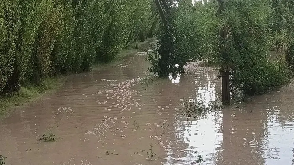 En algunas zonas, el granizo cayó durante varios minutos. Bomberos y personal municipal trabajan en las áreas más afectadas. (Fotos gentileza)