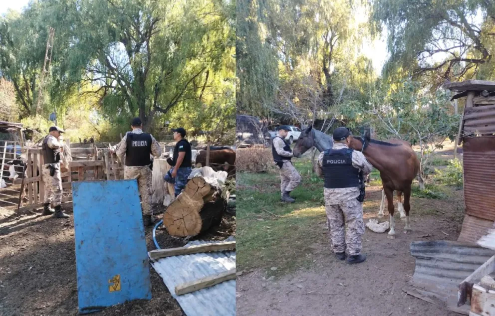 El procedimiento estuvo a cargo del personal de la Brigada Rural y Montada de Cipolletti. | Foto (gentileza)