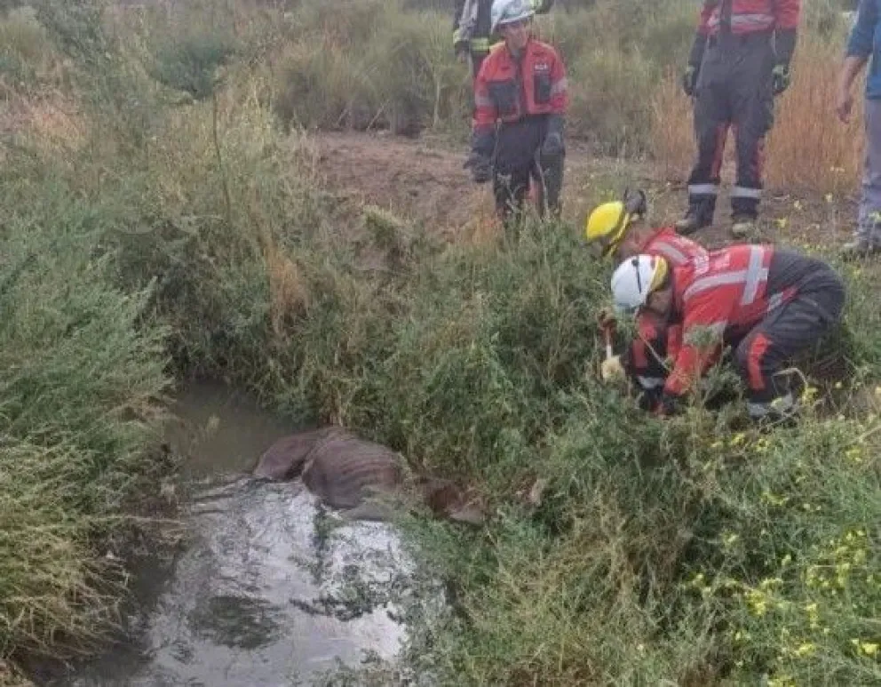 El rescate se produjo en horas del mediodía y en la zona de pie de barda este de la ciudad.
