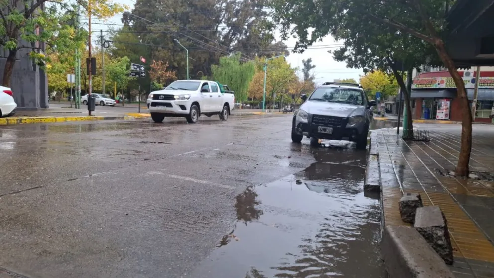 Cayeron 12 mm en la ciudad sin ocasionar demasiadas intervenciones en la ciudad. | Foto (Daniela Luján para CIPO360)