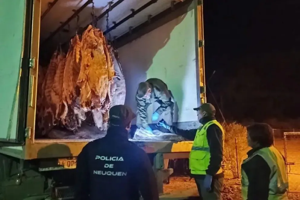 El cargamento fue interceptado en uno de los accesos a Rincón de los Sauces. Tenía como destino principal el mercado del Alto Valle. Foto: gentileza Catriel25.
