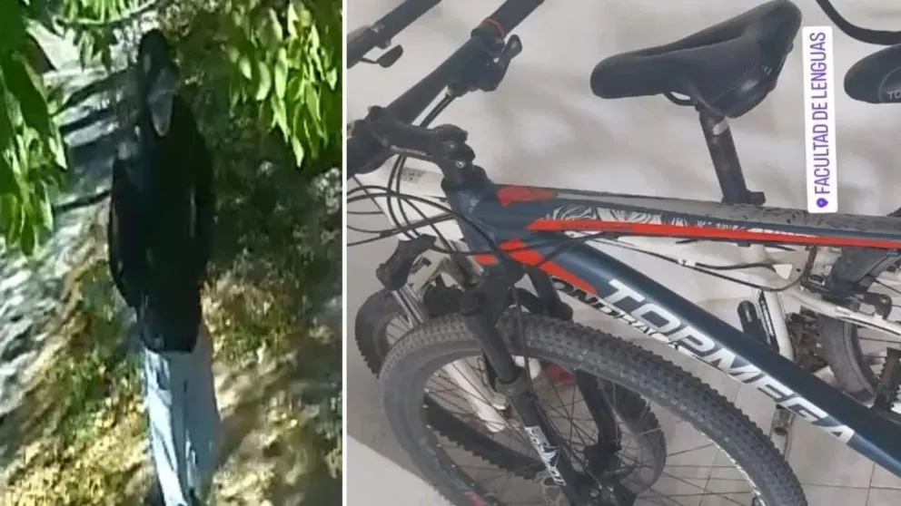 Fue captado por las cámaras de seguridad. (Foto gentileza)