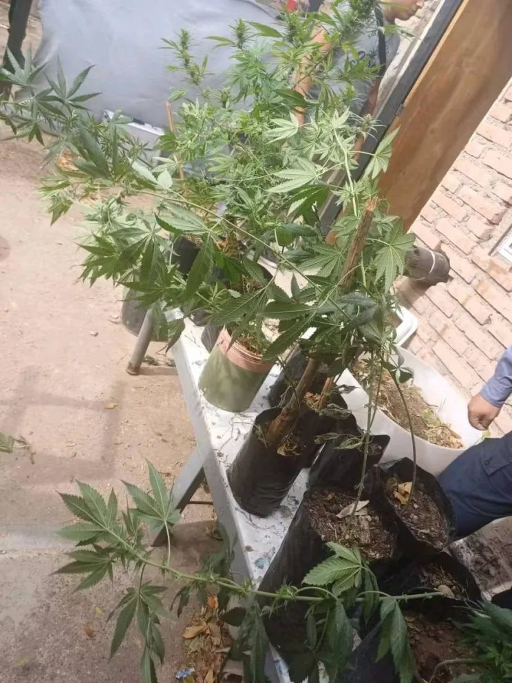  Fiscalía ordenó su imputación por el delito de robo (imagen gentileza) 