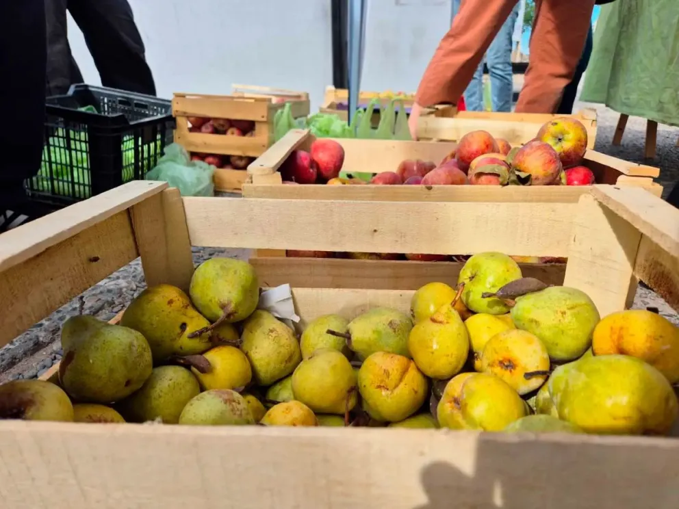  Como en cada edición, habrá peras y manzanas a mil pesos el kilo, además de ciruelas, huevos. | Foto archivo