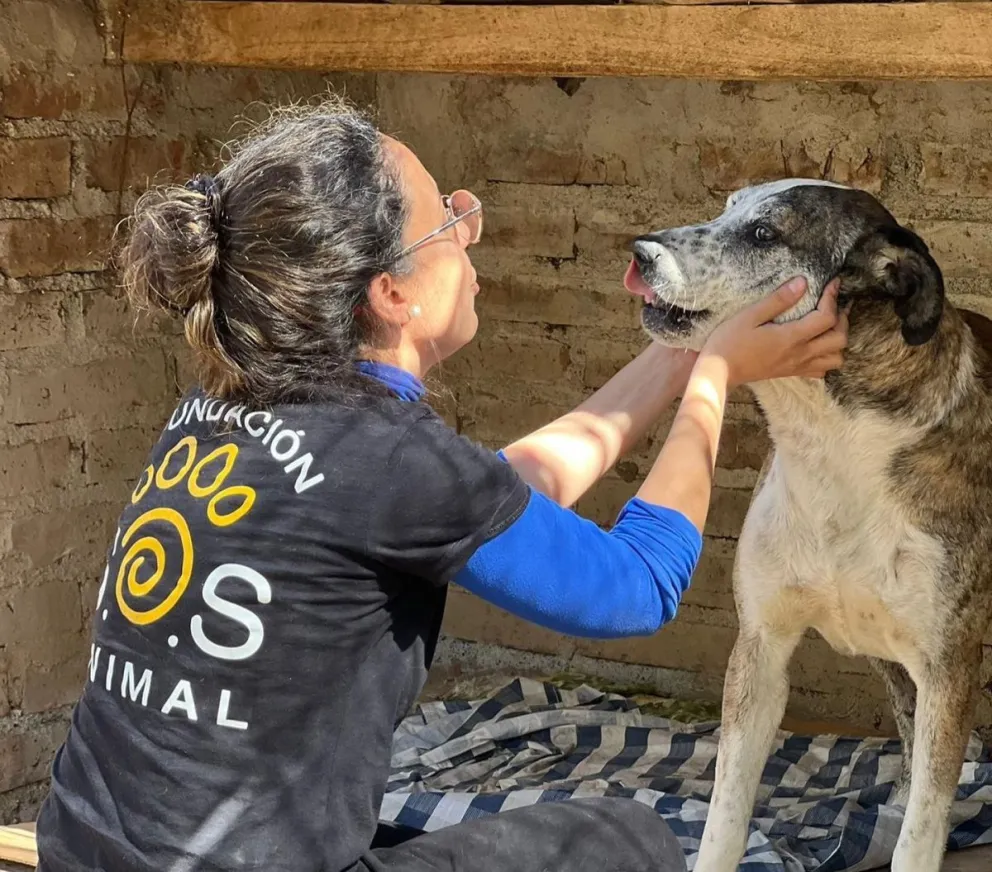 El lugar no funciona como perrera ni refugio, por lo cual hace años no se ingresan nuevos perros. (Foto gentileza)