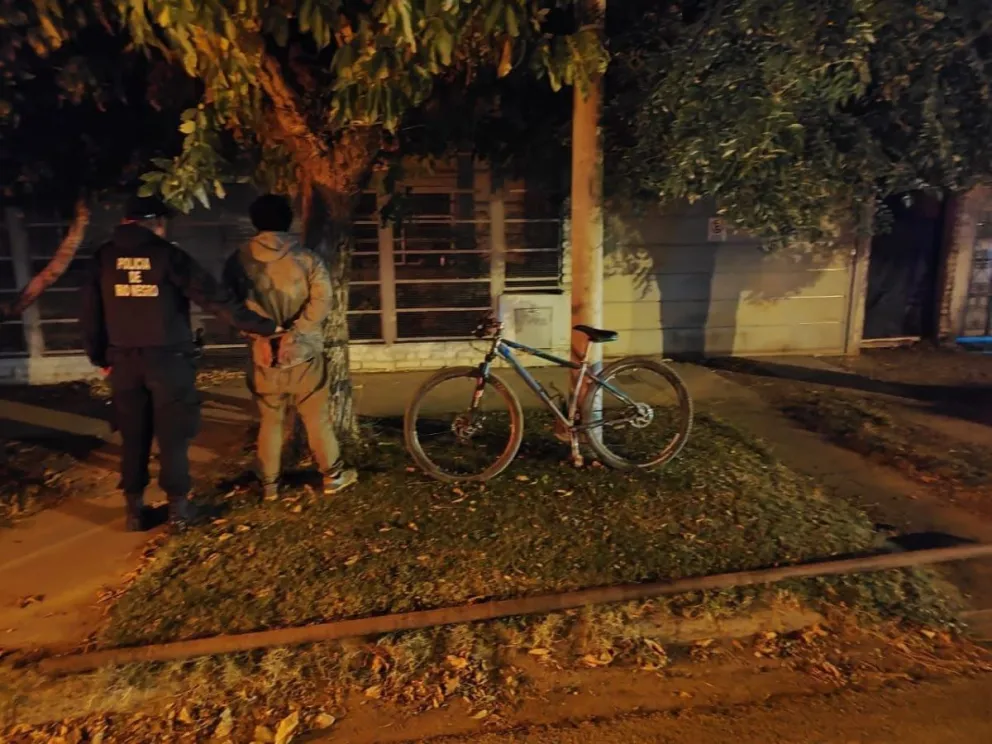No se registraron heridos ni daños materiales (imagen gentileza El Diario De Allen )