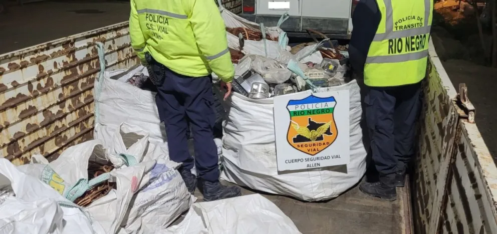 El material fue secuestrado preventivamente, ya que no tenía la documentación correspondiente. Foto: Policía Río Negro.