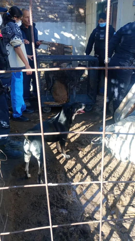 Se encontraba también Protección Civil. (Foto gentileza)