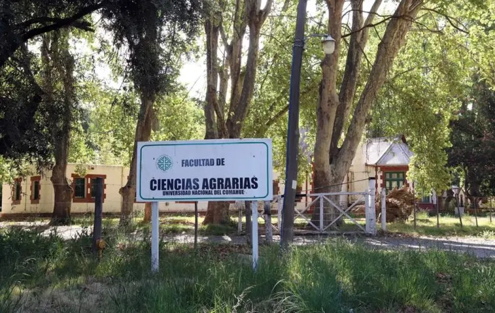 La Facultad tiene una matrícula de 400 estudiantes. 
