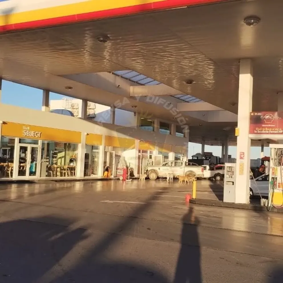  Intentó abrir la caja fuerte utilizando una amoladora que llevaba en su mochila. | Foto gentileza Prensa Policía Neuquén