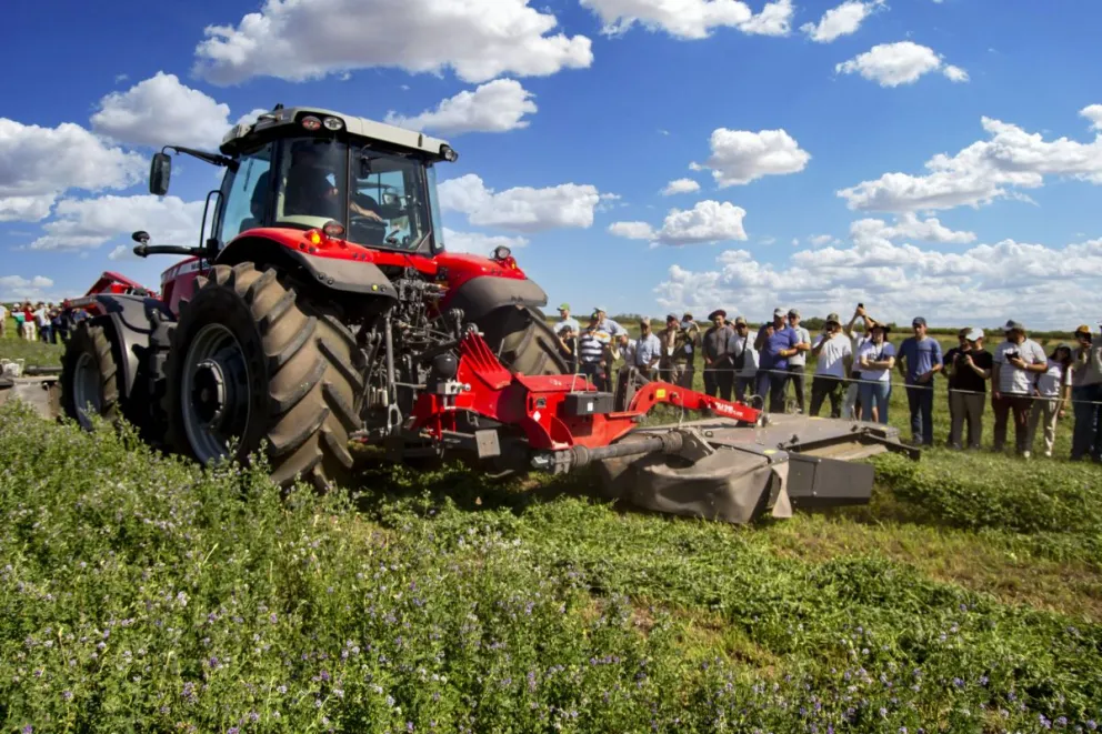 Durante la jornada se presentarán técnicas para mejorar la producción con destino a la exportacón. Foto: gentileza Expo Alfalfa.