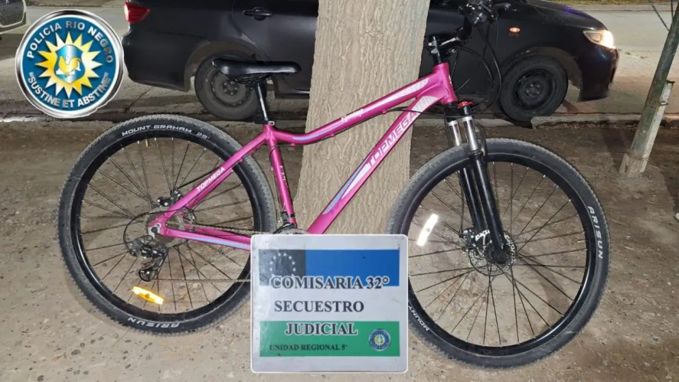 Un detalle importante: la propietaria tenía la tarjeta con el número de cuadro y fotos con una marca particular que permitió identificarla. Foto: Policía Río Negro.