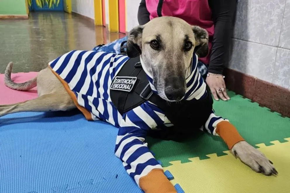 Ha recorrido áreas de pediatría como sectores de hospitalización de adultos. (Fotos Gobierno de Neuquén)