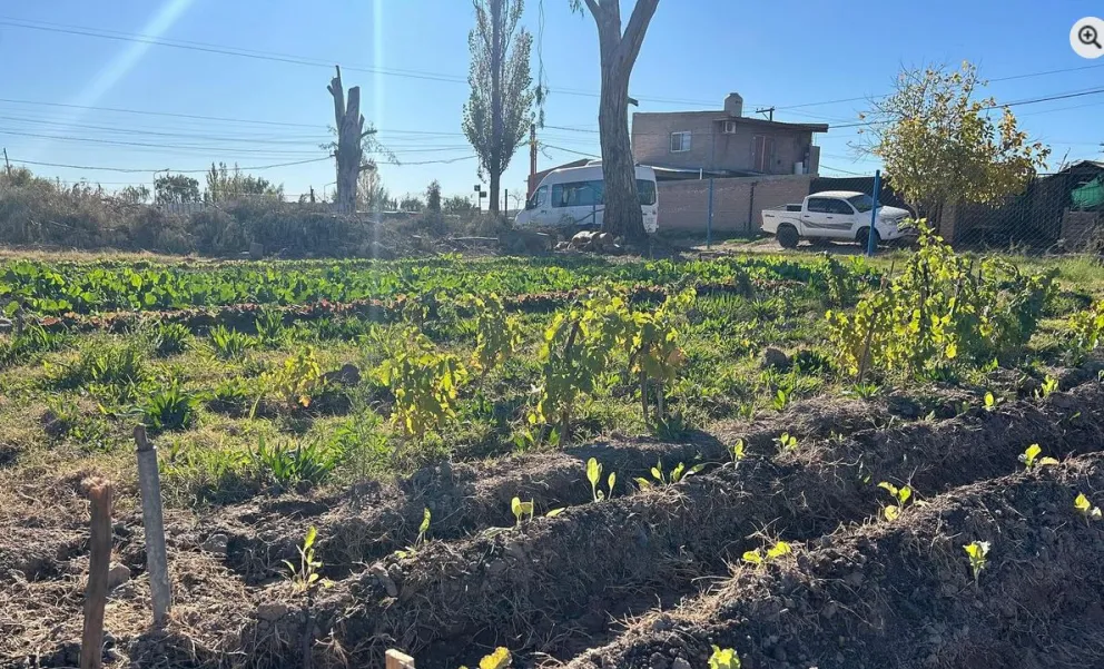 La comprometida situación se registró en el Vivero Municipal de Catriel. Foto: archivo.