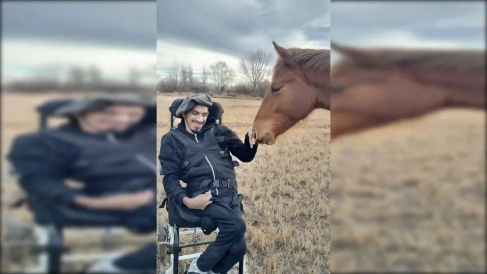 El dueño aún no ha podido recuperarlo aunque fue a verlo. (Foto gentileza)