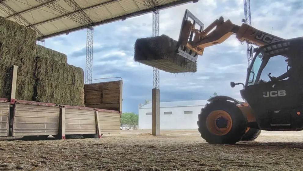 Desde sus plantas en Argentina, Nafosa procesa anualmente unas 20.000 toneladas de alfalfa. | Foto gentileza