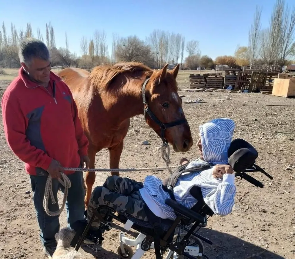 El potrillo trabaja con Jonathan para ayudarlo y acompañarlo. 