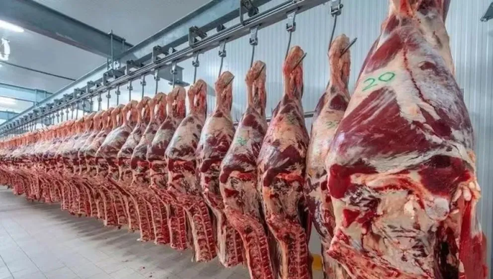 Está en riesgo el ingreso de asado con hueso. Foto archivo
