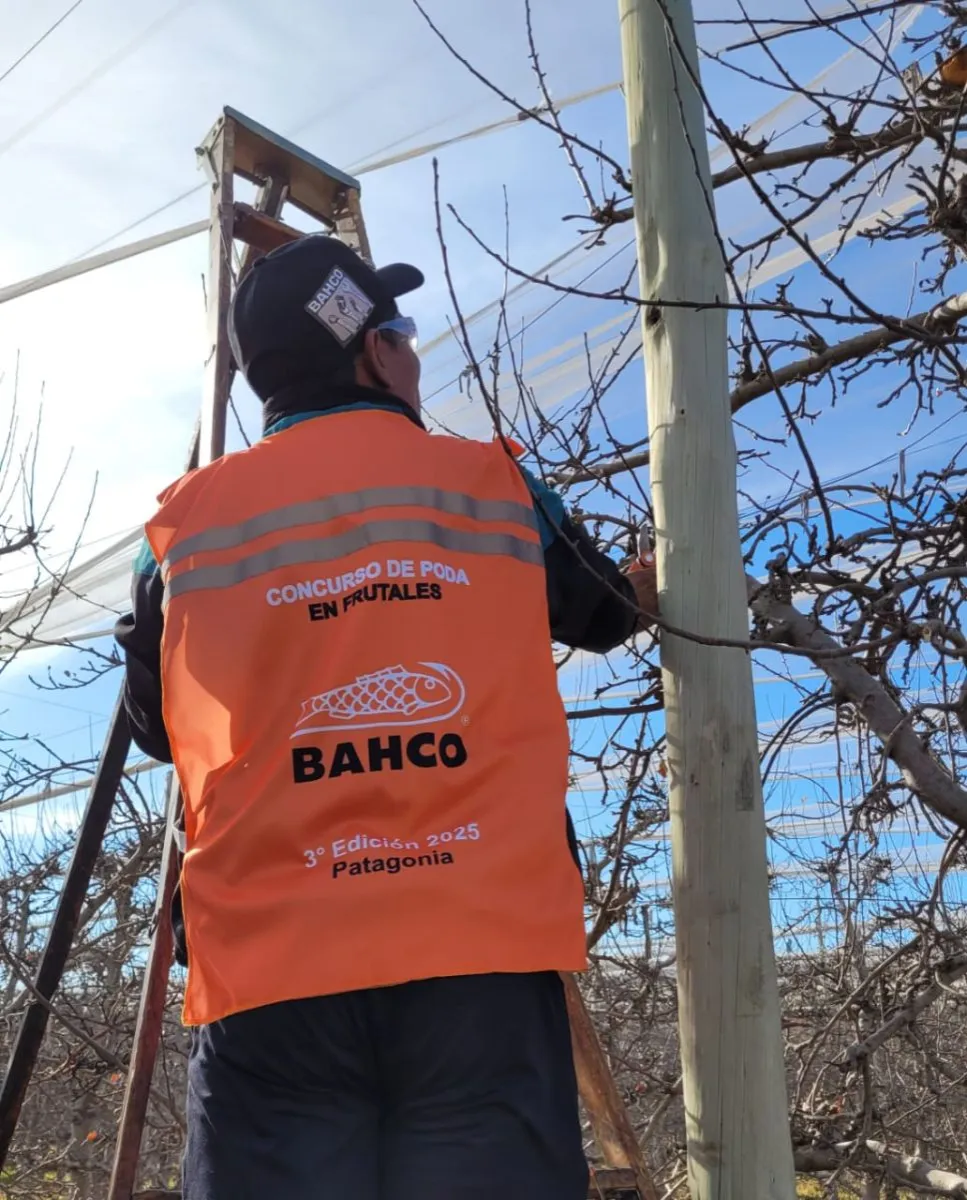 Celebraci&oacute;n del arte de podar: Bahco realiz&oacute; con &eacute;xito la tercera edici&oacute;n de su Concurso de Poda en Frutales en R&iacute;o Negro  Bajada: Con gran participaci&oacute;n y esp&iacute;ritu de camarader&iacute;a, podadores de la regi&oacute;n demostraron su destreza en una competencia que homenajea un oficio ancestral. El evento se desarroll&oacute; en Ingeniero Huergo y consagr&oacute; a H&eacute;ctor Figueroa como ganador del primer premio.  Desarrollo: Buenos Aires, junio de 2025. La pasi&oacute;n por la poda y el compromiso con la excelencia volvieron a brillar en la tercera edici&oacute;n del Concurso de Poda en Frutales organizado por SNA Europe, Bahco, primer fabricante europeo de tijeras de poda, serruchos y herramientas de mano. El evento se realiz&oacute; el pasado s&aacute;bado 14 de junio en Hacienda Mart&iacute;nez, ubicada sobre la Ruta 22, kil&oacute;metro 1142, en la localidad de Ingeniero Huergo, provincia de R&iacute;o Negro.  La jornada comenz&oacute; temprano, con un desayuno de bienvenida que reuni&oacute; a los participantes y asistentes en un clima de entusiasmo y compa&ntilde;erismo. Luego, cada podador cont&oacute; con 30 minutos para demostrar su t&eacute;cnica, precisi&oacute;n y eficiencia frente a un jurado de especialistas, que evalu&oacute; el trabajo con atenci&oacute;n y rigurosidad.  El certamen coron&oacute; como ganador del primer puesto a H&eacute;ctor Figueroa, representante de Finca Beto Gross, seguido por Carlos Sep&uacute;lveda de Hacienda Mart&iacute;nez, y Juan Mill&aacute;n, de Finca Fato, quienes obtuvieron el segundo y tercer lugar respectivamente. Tras la competencia, los presentes compartieron un almuerzo y participaron de la ceremonia de premiaci&oacute;n, cerrando el evento con un brindis cargado de reconocimiento al oficio y al talento demostrado.  El concurso no solo premi&oacute; la destreza t&eacute;cnica, sino que puso en valor un saber tradicional: la poda de frutales, una pr&aacute;ctica esencial en la producci&oacute;n agr&iacute;cola que exige conocimientos precisos, experiencia y sensibilidad. La poda no solo garantiza &aacute;rboles m&aacute;s sanos y productivos, sino que es tambi&eacute;n una forma de arte, transmitida de generaci&oacute;n en generaci&oacute;n.  &ldquo;Un podador puede catalogarse como un artista&rdquo;, afirman desde la organizaci&oacute;n, que con esta convocatoria busca honrar un oficio noble y muchas veces invisibilizado, promoviendo sus valores y t&eacute;cnicas entre las nuevas generaciones. La exitosa realizaci&oacute;n del evento consolida al concurso de Bahco como una cita ineludible para quienes se dedican con pasi&oacute;n al cuidado de los frutales en la Patagonia.
