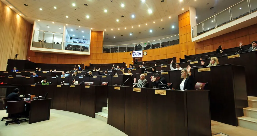 Por amplia mayoría, la Legislatura neuquina aprobó la comunicación que rechaza la iniciativa de bajar la edad de imputabilidad. Foto: Legislatura de Neuquén.