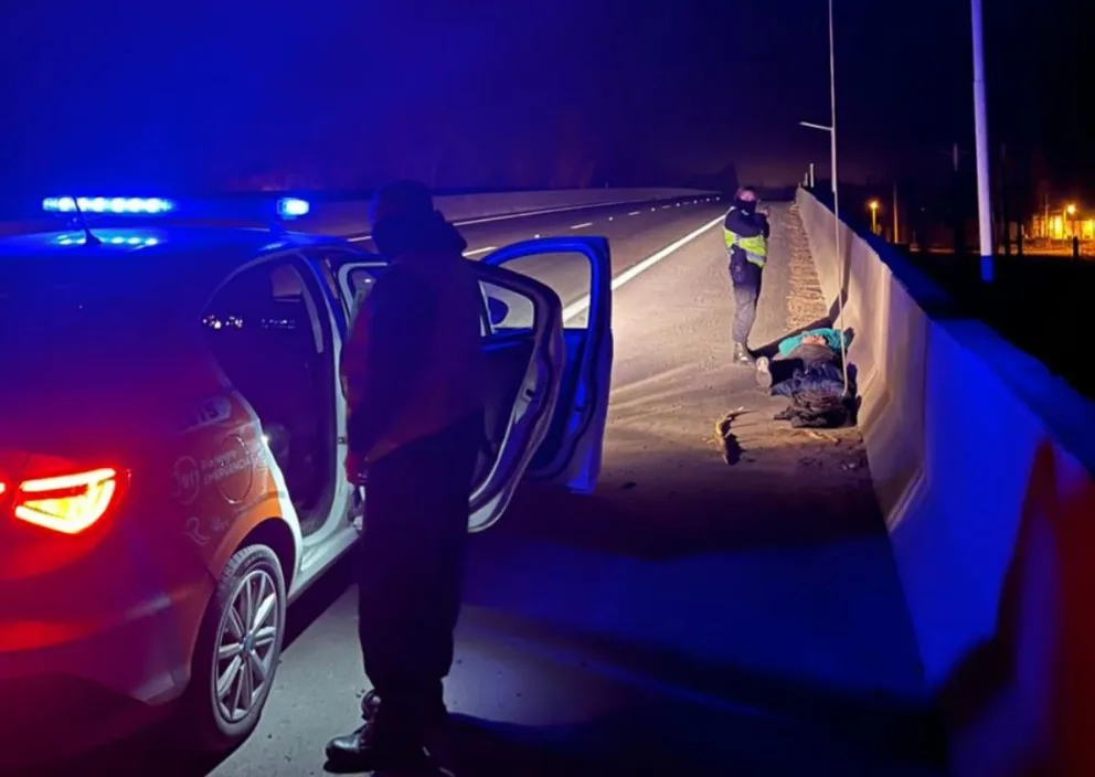 Los dos sujetos fueron sorprendidos mientras intentaban quitar una de las luminarias. Foto: Policía Río Negro.