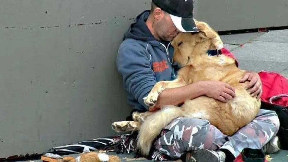 Se ofrece una cama y una cucha para resguardarse por la noche.
