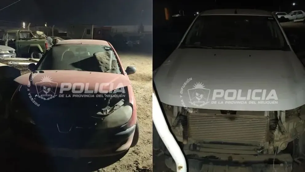 Durante el operativo, la policía secuestró autos, un arsenal de armas cortas y largas, municiones y documentación relacionada con la causa. Foto: Policía de Neuquén.
