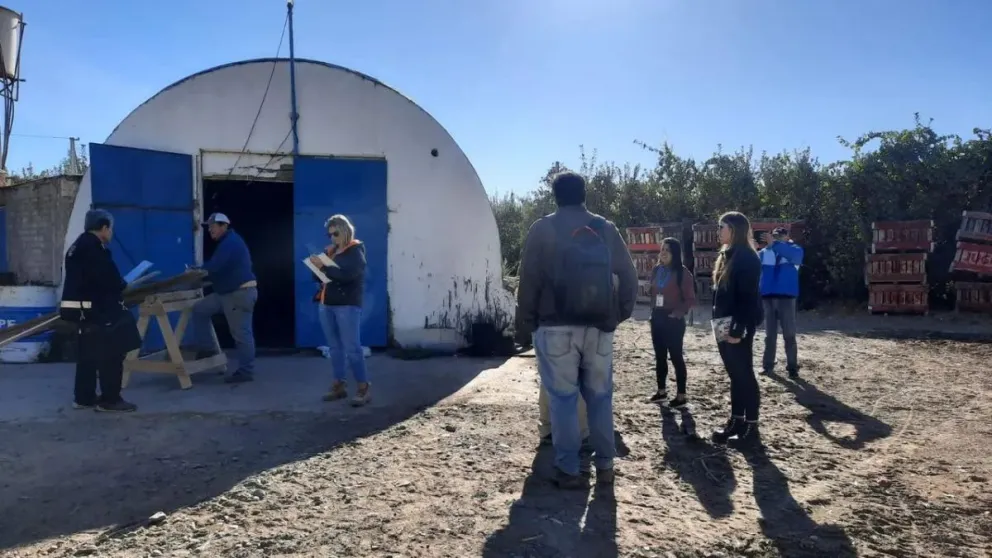 El operativo, en el que participaron integrantes del Centro de Atención a la Víctima y fuerzas federales, se constató las pésimas condiciones laborales de una chacra de la región. Foto: archivo.