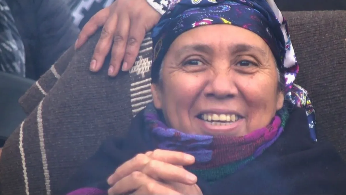 comunidad mapuche