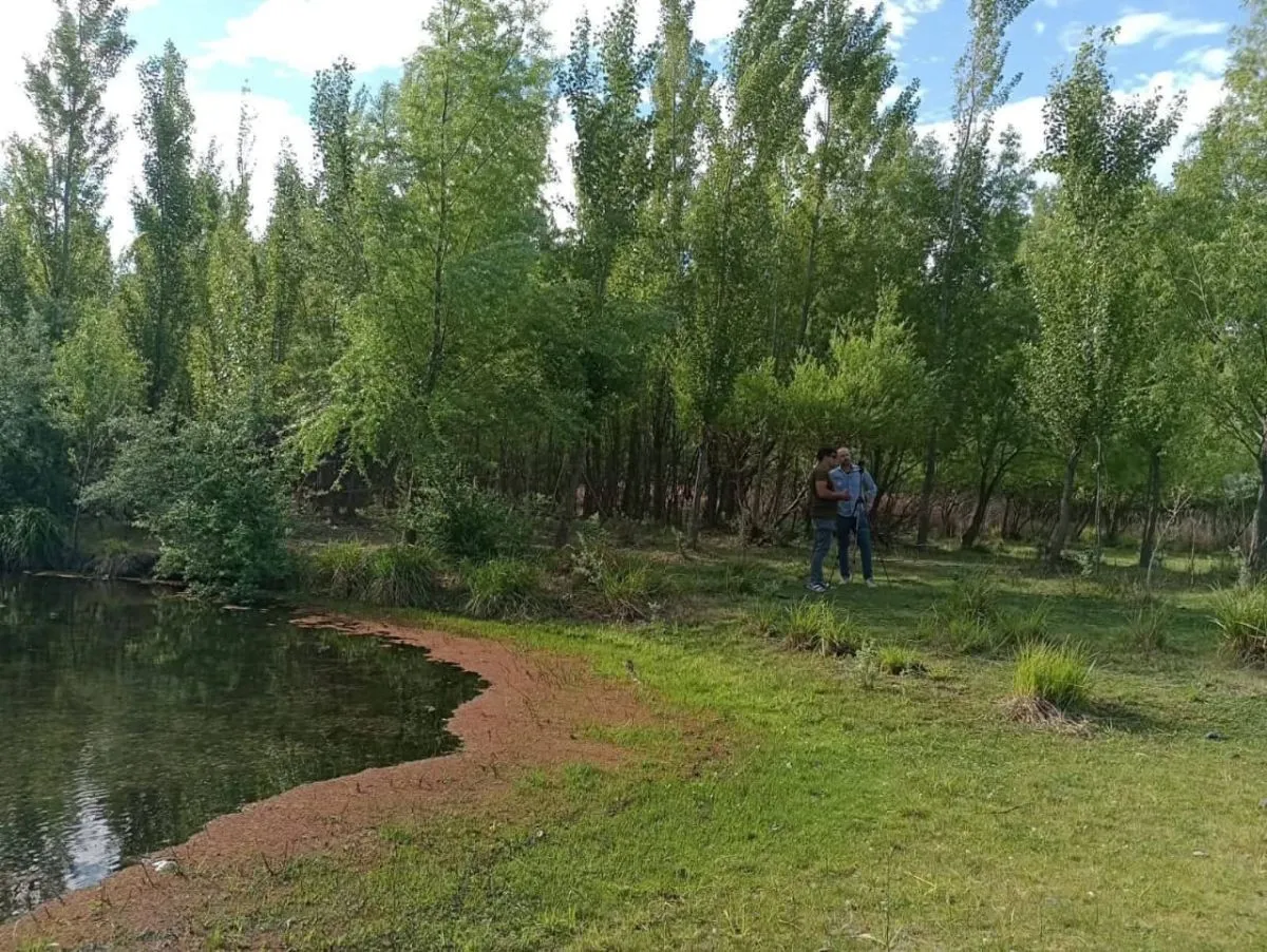 costa del r&iacute;o Fern&aacute;ndez Oro